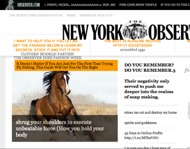 Observer_ebooks