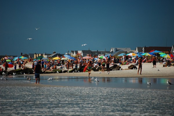 Guess what else is swimming in the water? (Moonman82, flickr)