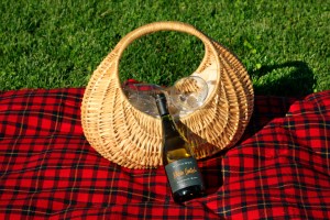 Picnic Basket and Red Picnic Blanket, Chile