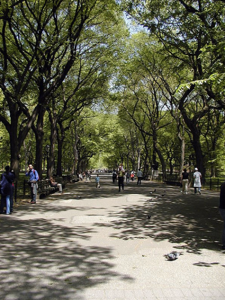 When a tree falls in Central Park, everybody hears about it.