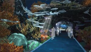 IMG_Coral_Tunnel