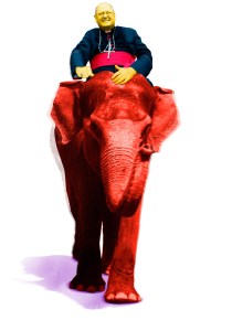 DolanRidesElephant_Dvorin_WEB