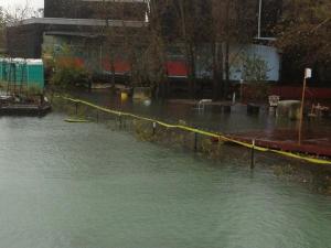 Flooding at Gowanus Grove.