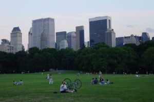centralparkgreatlawn