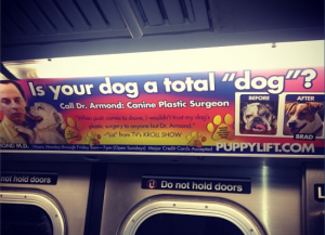 Dr. Armond's subway ad. (Twitter)