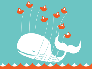 Congress Fail Whale (Photo: blogspot.com)