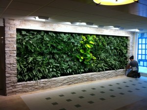 The living green wall.