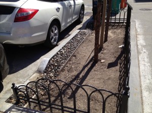 The Columbus Avenue bioswale.