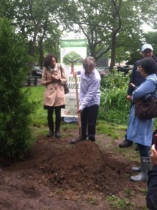 Mr. Rivera, members of the NYC Parks Department and residents breaking the soil for the new tree. (Kelly Gifford