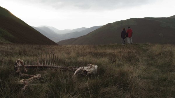sightseers