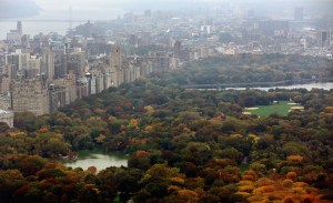 Central Park Receives 100 Million Dollar Donation From Hedge Fund Manager John Paulson