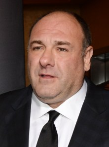 James Gandolfini. (Getty)