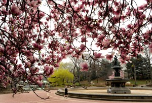 Bethesda Terrace in Central Park