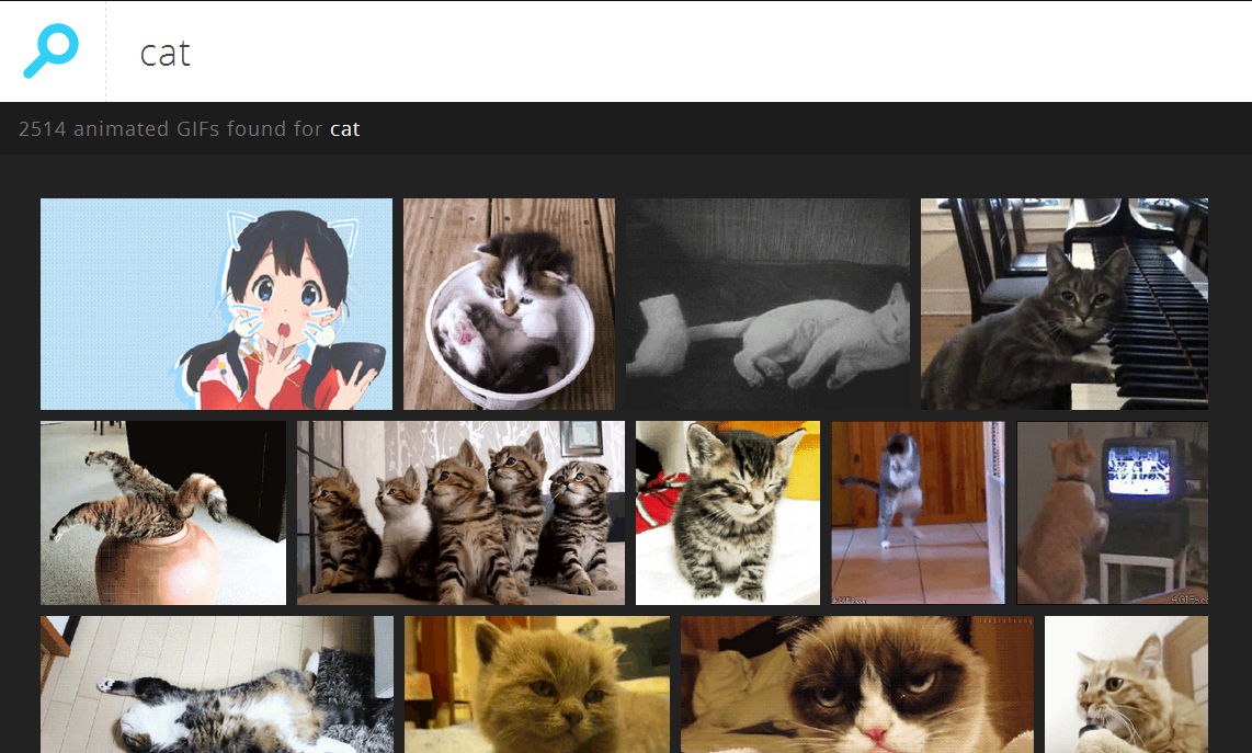 Don't worry, there are 2,498 cat gifs where these came from. (Photo: Giphy)