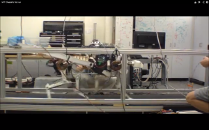 Just try to beat this robo-cheetah on the treadmill.