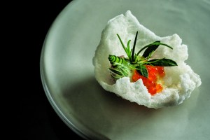 Trout roe on puffed rice.