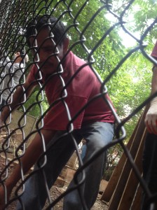 Construction worker from Serge Hoyda digging along the fence separating the lots at Children's Magic Garden. (Photo by Aresh Javadi).