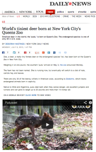 Screenshot of Deborah Hastings national take.