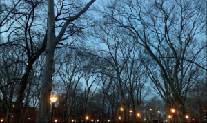 McGolrick Park and its glowing lights of past. (via Flickr)