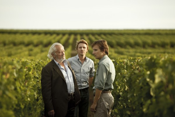 All is not well at the vineyard.