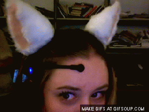 cat-ears_o_gifsoup-com1