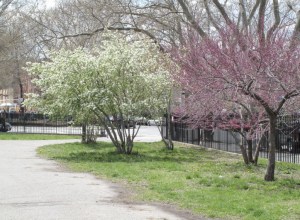 McCarren Park. (NYC Gov Parks website)