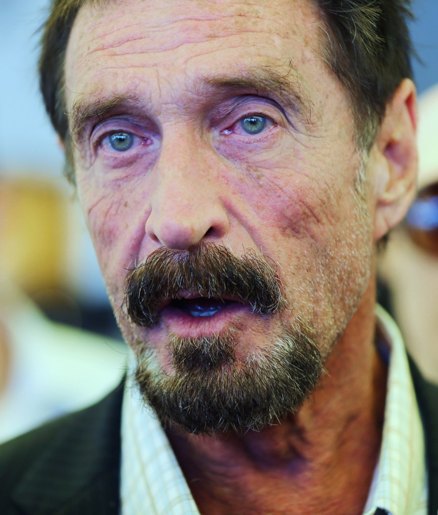 The face of expertise. (Photo by Joe Raedle/Getty Images)