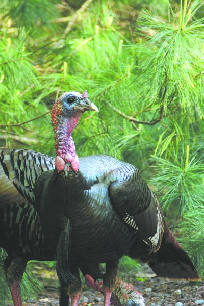 What are you thankful for?