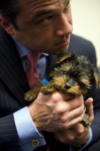 Congressman Michael Grimm and his pup Sebastian. (Photo: Tom Williams/Getty)