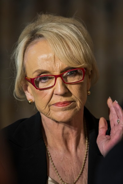 Arizona Gov. Jan Brewer.