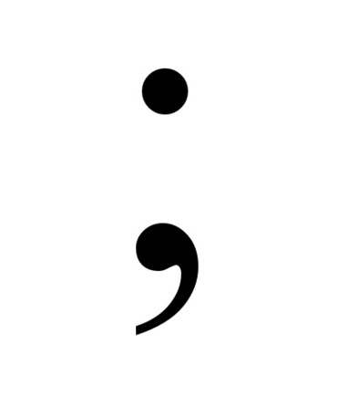The dreaded semicolon. (Photo via Wikimedia Commons)