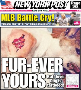 The cover of today's New York Post