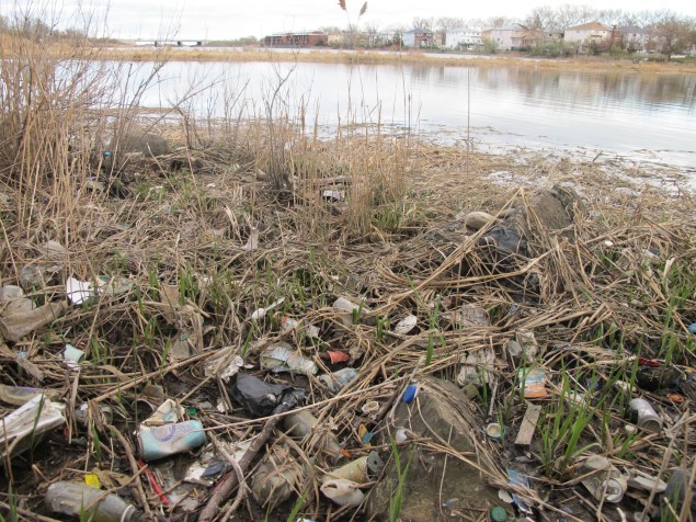 Fresh Creek Nature Preserve near Starrett City, Brooklyn. (Photo by Matthew Taub)