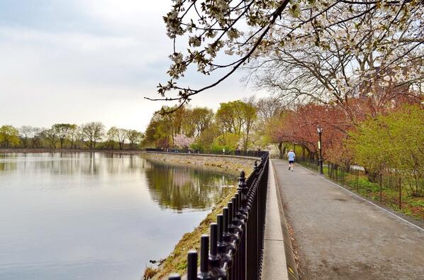 ​The Central Park Reservoir. A seven foot high chain link fence was replaced with a steel cast-iron design in 2003. A $100 million donation in 2012 has allowed for further capital improvements. (Photo by @gigi_nyc)