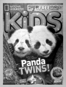 Probably the world's tiniest pandas. (Flickr)