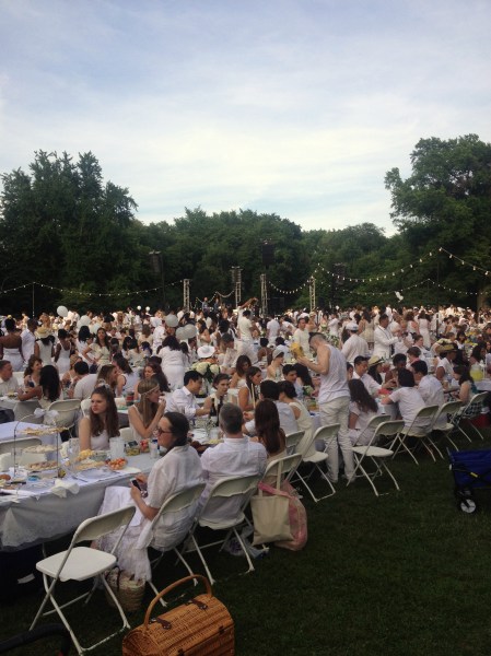 The white-out in a Prospect Park meadow. (Meredith Carey)