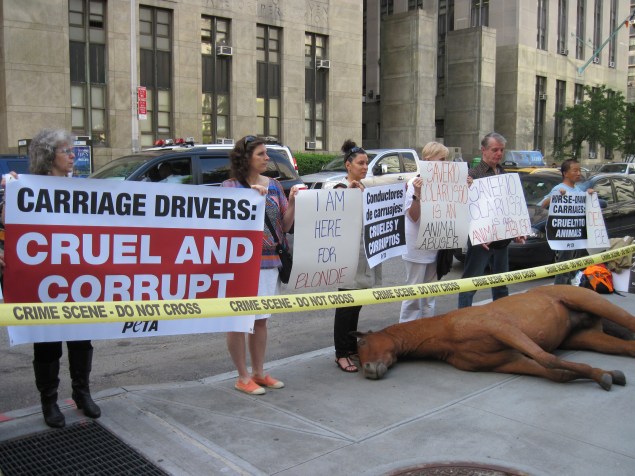 New Yorkers protest the treatment of carriage horses like Blondie (Photo: Ashley Byrne, PETA)