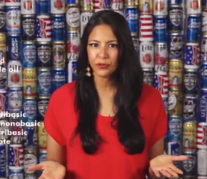 Vani Hari in front of a beer wall. (Screengrab via YouTube)