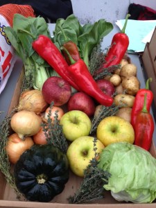 An example of the produce available in a single a Fresh FoodBox for $10. (Courtesy of GrowNYC)