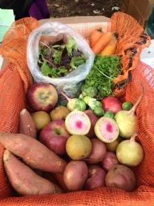 Another example of a Fresh FoodBox. (Courtesy of GrowNYC)