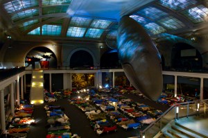 "A Night at the Museum" (Photo courtesy of AMNH)