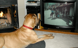 Betabeat chills after work. (Photo: Flickr)