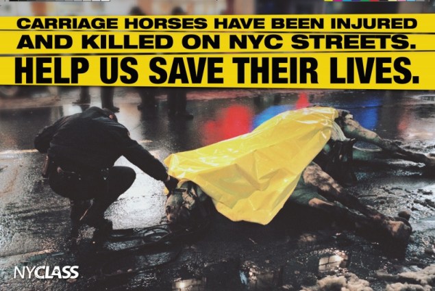 The front side of the NYCLASS mailer. 