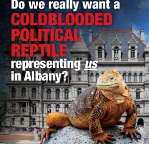 The front side of the Oliver Koppell-sponsored reptile mailer.