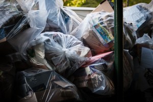 Trash build up in Battery Park back in 2012 (Clemens Vogelsang/Flickr