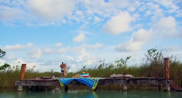 bachelor in paradise