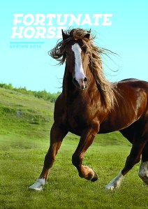 Fortunate Horse believes that all horses are fortunate because they're horses. (photo credit: Fortunate Horse Magazine) 