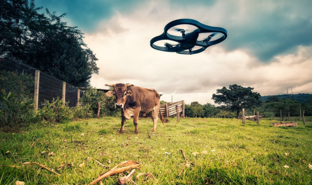 Drones are finding their way into industry and agriculture, and experienced pilots are in sudden demand. (Photo by Lima Pix)
