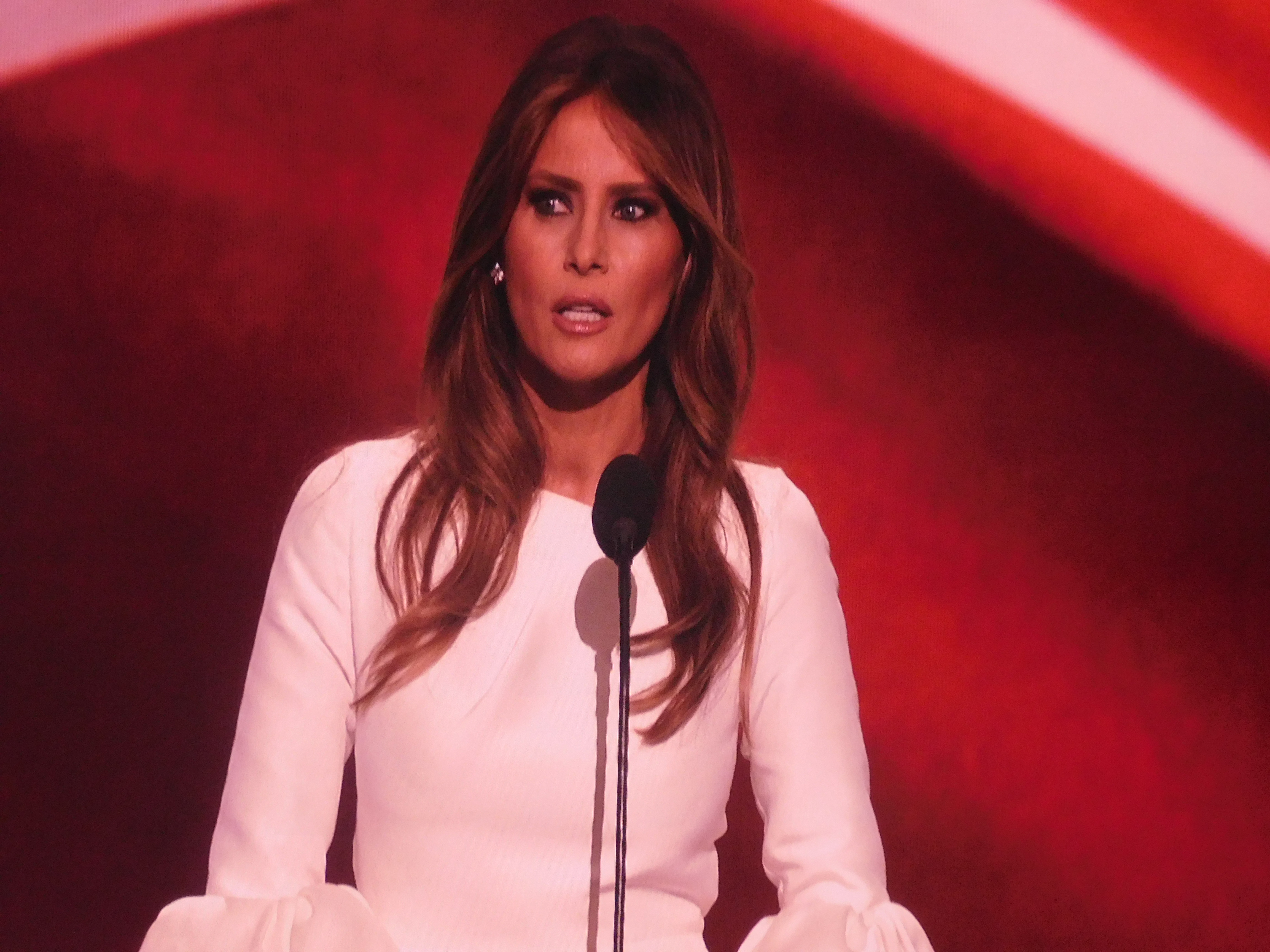 Trump introduced his wife Melania at the convention. 