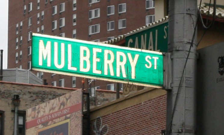 mulberry street sign Klosed Properties Scoops Little Italy Retail Condo